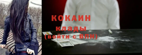 мяу мяу мука Аркадак